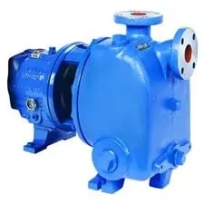 goulds-3796-i-frame-self-priming-process-pump